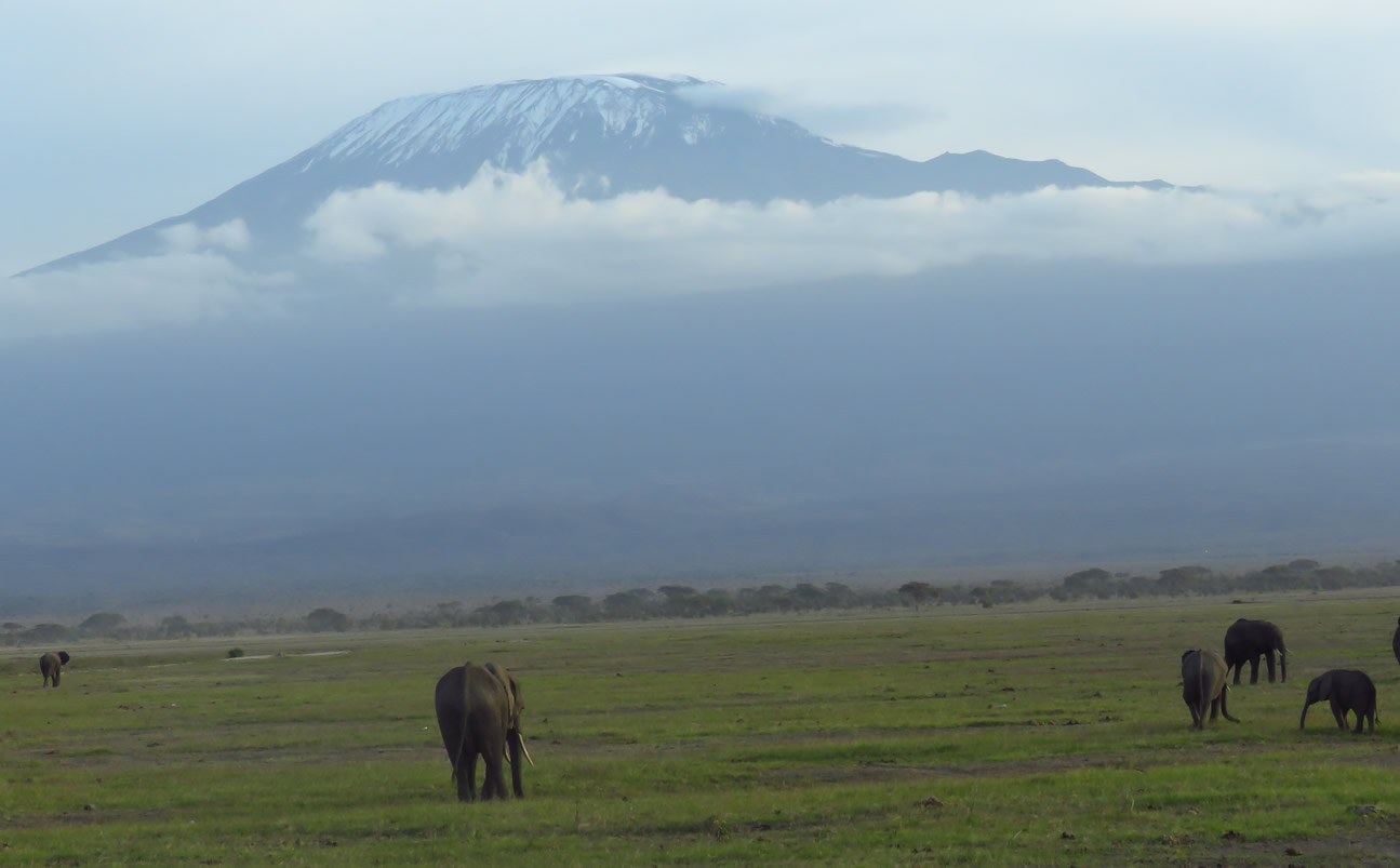 Amboseli Mara Safari