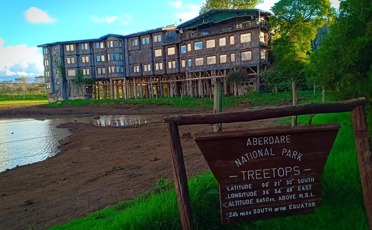 Tree Hotel Experience
