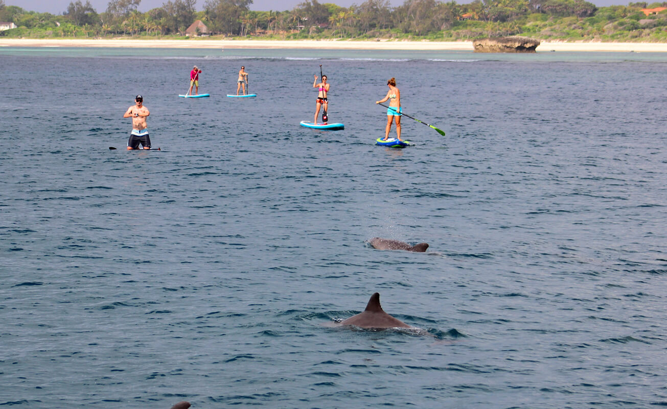 Paddle with the Dolphins in watamu